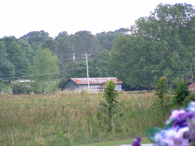 DSCF0069.JPG