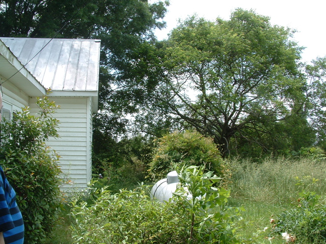 DSCF0081.JPG