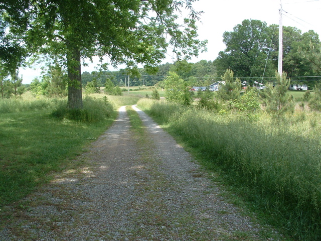 DSCF0085.JPG