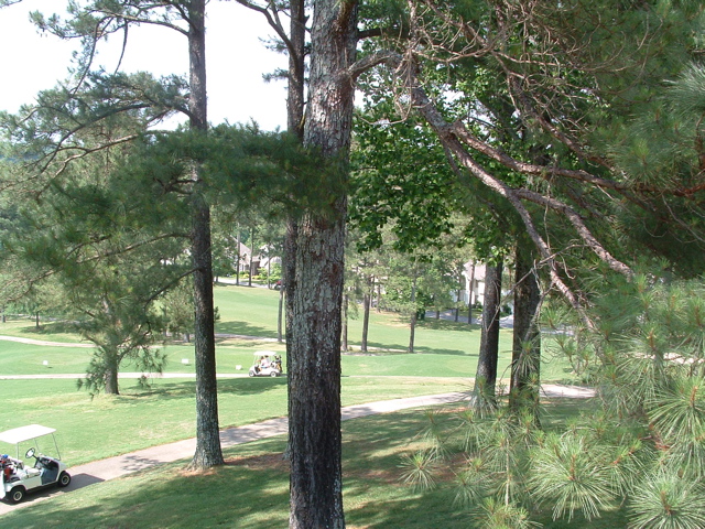 DSCF0098.JPG