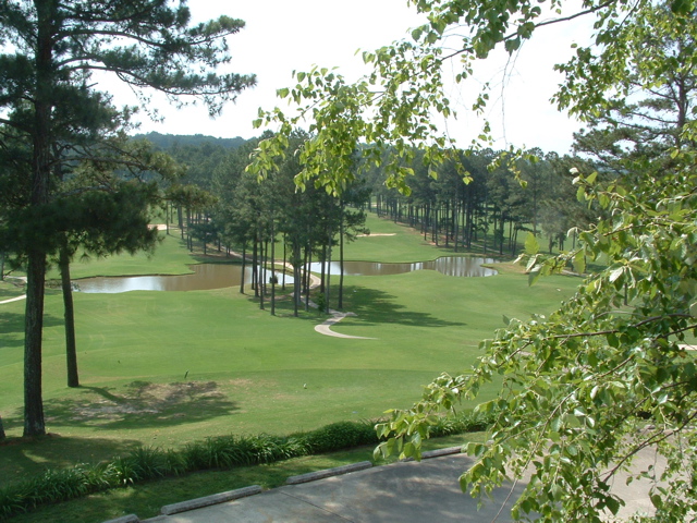 DSCF0100.JPG