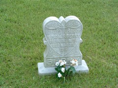 DSCF0063.JPG