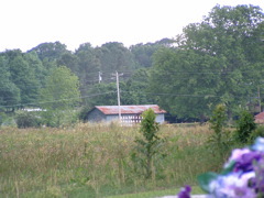 DSCF0069.JPG