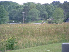 DSCF0070.JPG