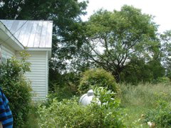 DSCF0081.JPG