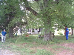 DSCF0084.JPG