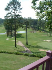 DSCF0096.JPG