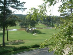 DSCF0100.JPG