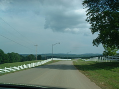 DSCF0102.JPG