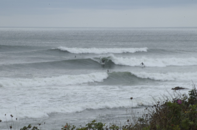DSC_1599.NEF
