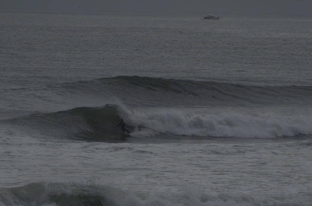DSC_1609.NEF