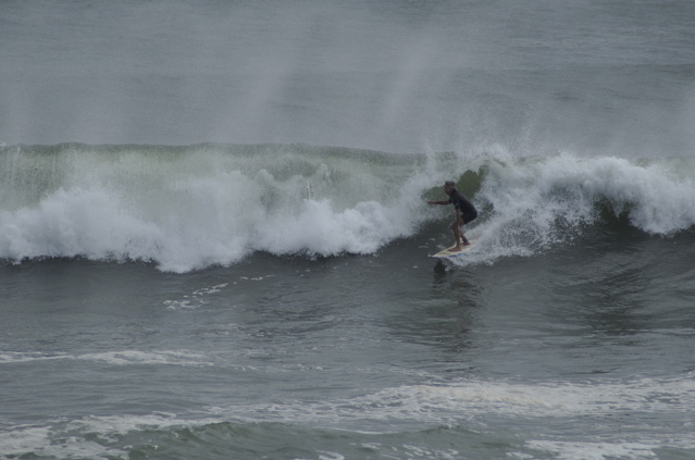 DSC_1610.NEF
