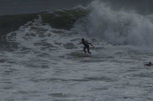 DSC_1611.NEF