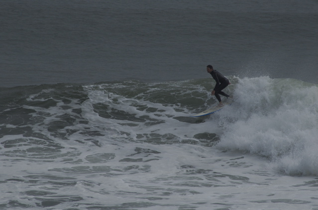 DSC_1612.NEF