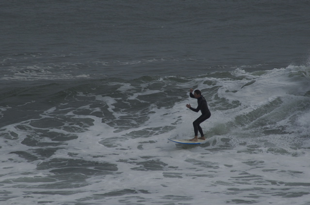 DSC_1613.NEF
