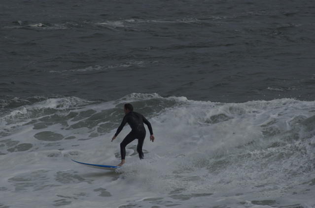 DSC_1614.NEF