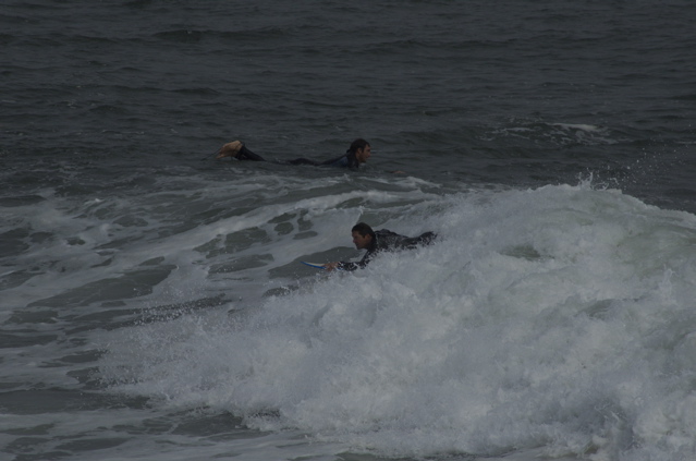 DSC_1615.NEF