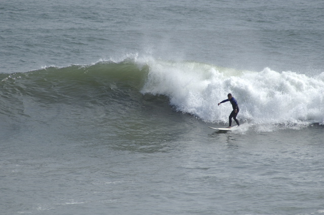DSC_1624.NEF