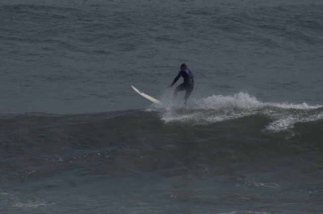 DSC_1625.NEF