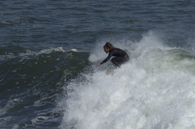 DSC_1628.NEF