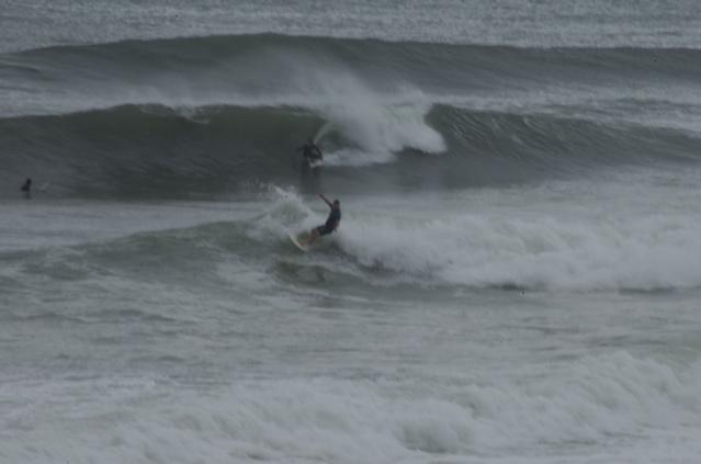 DSC_1602.NEF