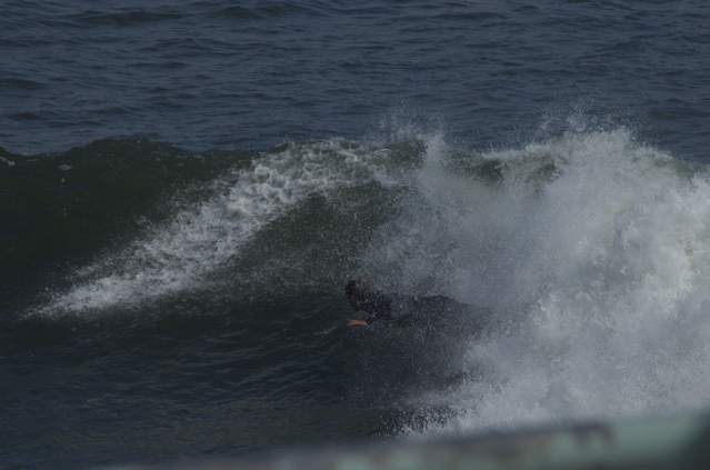 DSC_1634.NEF