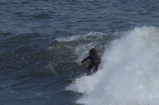 DSC_1636.NEF