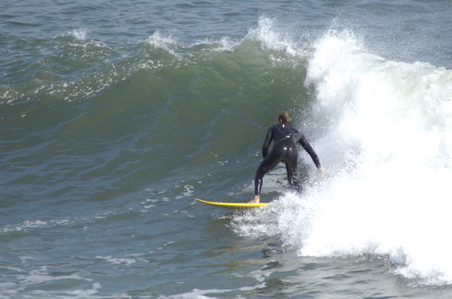 DSC_1638.NEF