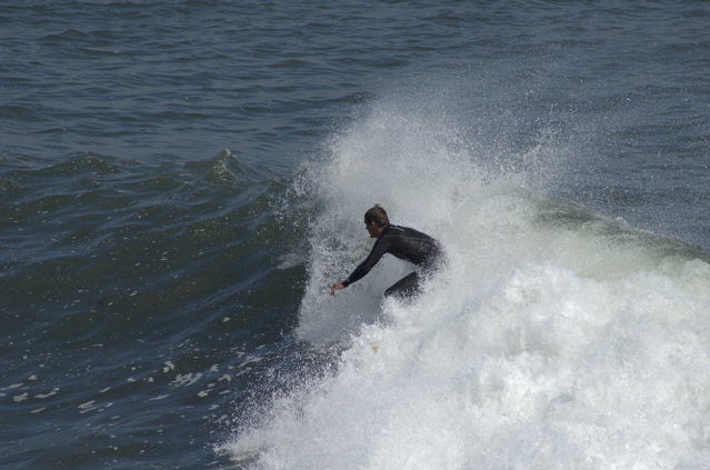 DSC_1639.NEF