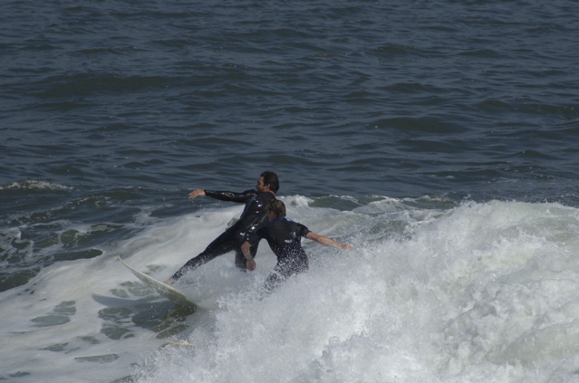 DSC_1641.NEF