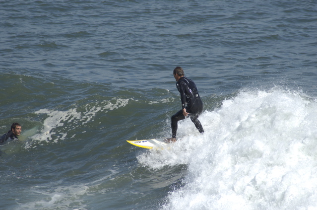 DSC_1642.NEF
