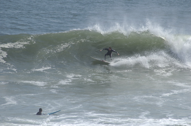 DSC_1644.NEF