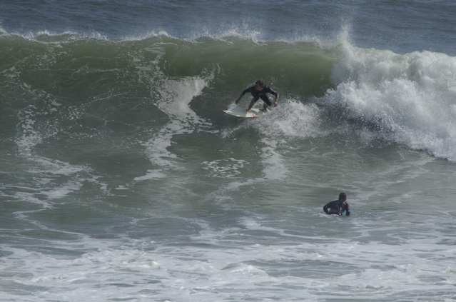 DSC_1645.NEF