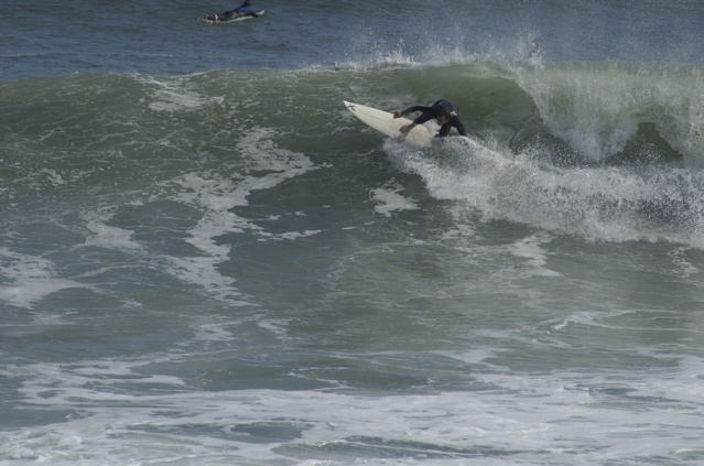 DSC_1646.NEF