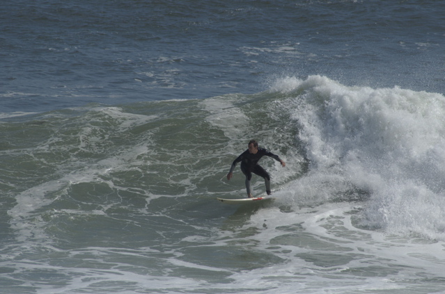 DSC_1647.NEF