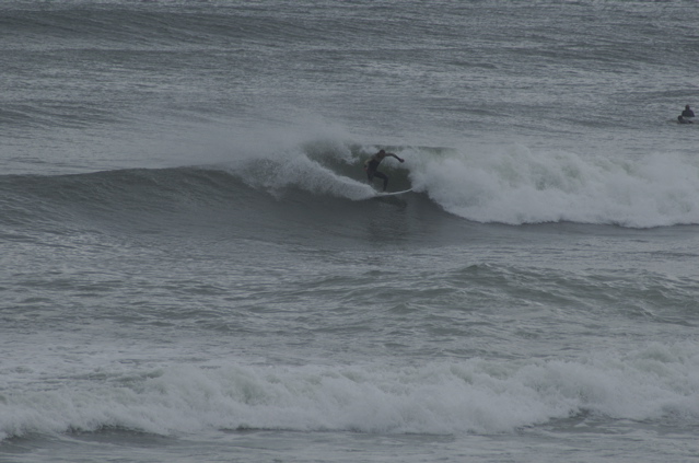 DSC_1605.NEF