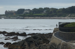 DSC_1600.NEF