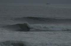 DSC_1609.NEF