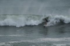 DSC_1610.NEF