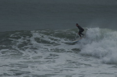 DSC_1612.NEF