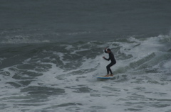 DSC_1613.NEF