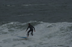 DSC_1614.NEF