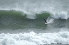 DSC_1617.NEF