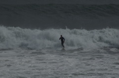 DSC_1618.NEF