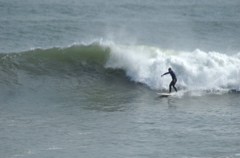 DSC_1624.NEF