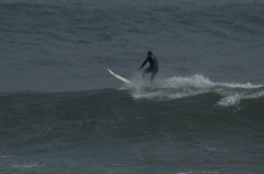 DSC_1625.NEF