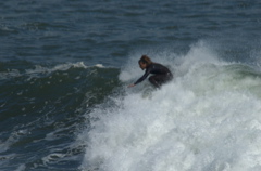 DSC_1628.NEF