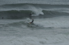 DSC_1602.NEF