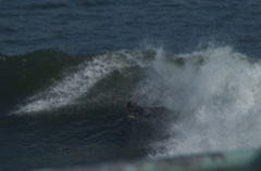 DSC_1634.NEF