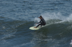 DSC_1635.NEF
